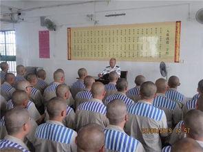 监狱里的金科状元（隐忍三年出狱后我名动京都）,金科状元出狱后名动京都的传奇之路