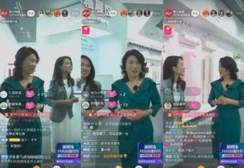 我靠直播鉴宝走上巅峰（直播鉴宝绣花鞋开局）,绣花鞋开启巅峰之旅