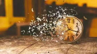 往事决堤,回首那些难以忘怀的瞬间